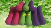 Small dumbbell childrens Ladies Fitness dumbbells Zheng duoyan weight loss exercises complete sports equipment small dumbbell 0 5kg1kg