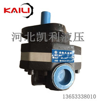 Factory direct gear pump oil pump CB-FC25 high pressure gear pump CBFC32 Yuci hydraulic pump CBFC40