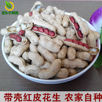 Farmers produce small red skin Peanuts raw new goods four red peanuts bulk 500g red peanut kernels