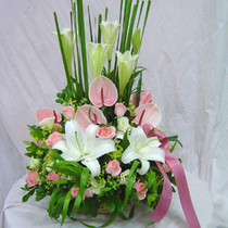 Fashionable and exquisite portable flower basket birthday wishes to send flowers to visit and condolences to the elders of the same city flower shop
