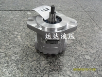 Hydraulic gear motor GM5-8-AFS17R-20
