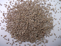 Barnyard grass seed grass seed tiger skin peony Parrot bird food bird food one piece = 1 jin over 5 Jin