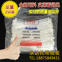 广告喷绘扎带8*200mm 250条(实际宽5 0mm)自锁式尼龙扎带晓灯白色