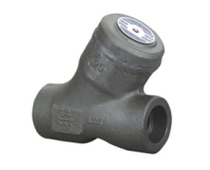 Forged steel Y-shaped check valve welding thread socket welded forged steel check valve Lifting forged steel check valve