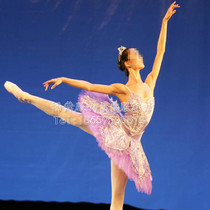 Manufacturer Direct Marketing Professional Play Dress Children Ballet Dresses TUTU Pan Skirt Fluffy Princess Dress Dance Table Dress Customized