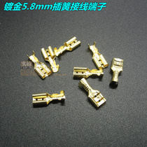 Plug spring 4 8mm cold-pressed terminal Power tailstock female end 100 induction cooker electric heater repair accessories