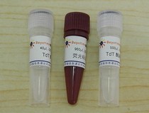 One-step TUNEL apoptosis Detection Kit (green fluorescence) Biyuntian biological C1086