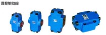 Hydraulic valve hydraulic lock pressure maintaining valve Shanghai hydraulic control check valve DFY-F50H1 DFY-F50H2
