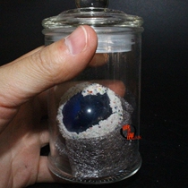 Buddhist baby Tibetan Tibetan Buddhism Tibetan Lao She Li round ball blue accretion