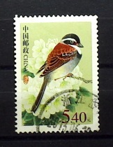 Pu 31(R31) Chinese Bird Tibetan Bunting 5 4 yuan (single letter sale ticket Old Stamp)