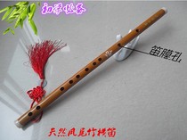 New Six-hole phoenix tail bamboo bamboo flute G tune F tune Beginner adult entry type Childrens flute Horizontal flute Special price