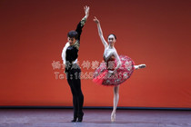 Professional Classical Ballet for Costume Contest TUTU Yarn Dress Rehearsal Red Ballet Dresses to be made