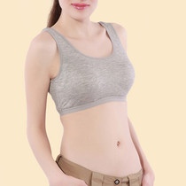 Small vest type non-rim bra underwear womens belt chest pad one-piece chest wrap chest Modal base summer thin model