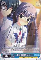 Heavy-weight-to-be-inspired Agitation For the Black and White Twin Wing Preliminary Sound Island 3 DC3 W18-085