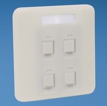 Original United States Pan Delta PANDUIT Four-mouth panel of four-mouth dust-proof panel NKFPL86F4SAW