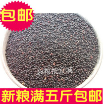 Rapeseed rapeseed brassy Maniao Canary Pearl hibiscus bird eating pigeon feed one piece = 1 catty