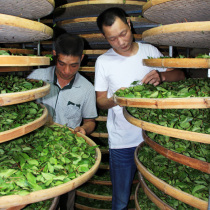 Zhang Chunfa Tieguanyin New Tea Anxi rich original flavor Tieguanyin New Tea Bulk with tea stem Oolong Tea 500g