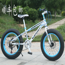 Snowmobiles 20 inch mountain bike 4 0 Leniency Tyre Disc Brake Bike Variable-men Style Bike Zxc
