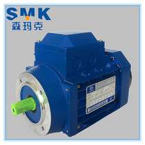 Spot supply Italy SEMIRKE Senmark three-phase asynchronous motor YS5614-0 06KW aluminum shell motor