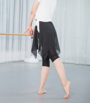 Belly dance dance pants Latin dance dress dance clothes practice pants body half skirt fake two dance pants children