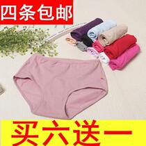 Panbao No. 9 pure cotton color high waist waist Lady mother underwear cotton crotch cotton cotton post-production abdominal size shorts