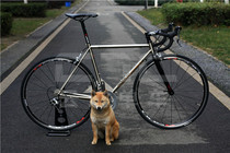 Road bike assembly diy: Tsunami road 520 steel frame frame 4600 kit R501 wheel set