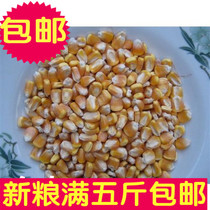 Handmade flesh germ intact corn to adapt to birds and animals good food 500g Full of 5kg