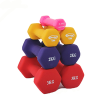 Dumbbells female pair slim-arm Immersion Plastic Breast home Jump fitness equipment yoga dumbbells 2kg small dumbbells