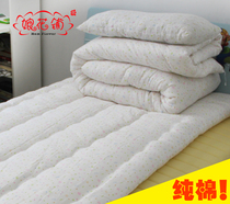 Nianhua University Student Dormitory Full Set of Bedding Pillow Core Set Standard Single Bed Apartment Spring and Autumn Cotton Quilt