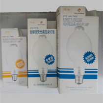 Foshan Fenjiang High Pressure Mercury Lamp Self-ballasted 125W 250W 450W Mercury Lamp Large Bulb 160W