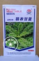 Special new vegetable seeds Kale seeds (original 10 grams)Special farm-specific vegetable varieties