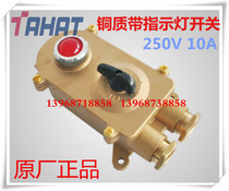Marine copper switch HSD2-2 copper waterproof with indicator light switch 250V10A protection IP56 watertight switch