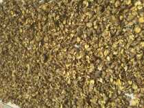 Anhui Huangshan Quality Winter Mushroom Firewood Shukuya Shuku Meat - delicious Flavor Yellow Mountain Wild Shengshan Sheng mushroom