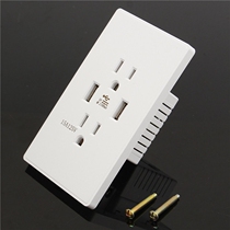 American Japan Power Socket American Beauty Mark Wall Socket 15a 110v Beauty Gauge Dual USB Socket Panel