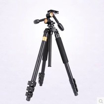 Light-mounted era Q620 SLR camera tripod photography tripod 3D damping handle gimbal set