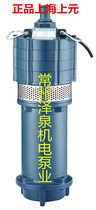 Shanghai Shangyuan QY3-50 3-1 1KW submersible pump Deep well pump drainage booster pump High lift submersible pump