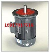 Y2 Series motor YX3 Motor Motor YE2 80M1-4 0 55KW