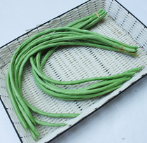 Simulation hand-feeling vegetable model simulation beans lentils cowpea long beans preschool photography window props