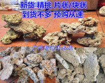 Deep sea dead stone sea coral stone biological stone sea coral fish landscape three lakes cichlid Landscape 1kg