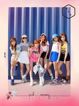 Full 『San Xia News Agency』Apink Formal 2 Pink MEMORY Pink Memory Red Version Gift