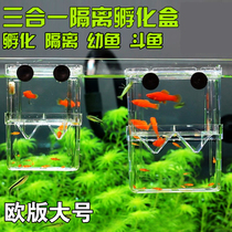 Fry breeding box Acrylic double-layer guppies hatchery incubator isolation box Douyu box juvenile fish box