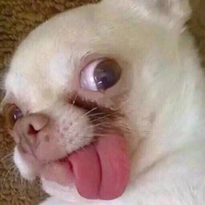 宝贝已经收到了，真的是物有所值非常的满意。卖家的服务态度很好发货速度也很快，包裹的严严实实没有任何破损。快递小哥送货速度快，总体来说是一次愉快的购物呀，下次有需要还会再来买买买！与卖家描述的完全一致，非常满意,真的很喜欢，完全超出期望值，发货速度非常快，包装非常仔细、严实，物流公司服务态度很好，运送速度很快，很满意的一次购物