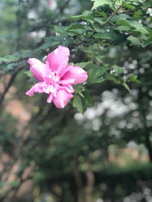 真的好好穿呀，虽然买完刚发货发现活动更优惠了，联系卖家不能退差价，又拍了一件一样的准备收到退第一件的，没想到这么好穿，都留下不退了，下次再来！