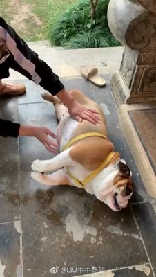 好看！！就是内裤哈哈哈哈哈不喜欢 买之前没看到有单件卖的嗨呀 （我们的生活方式是什么时候回来呀，我们的生活方式是什么时候回来呀，我们的生活方式是什么时候回来呀，我们的生活方式是什么时候回来呀，我们的生活方式是什么时候回来呀，我们的生活方式是什么时候回来呀，我们的生活方式是什么时候回来呀，我们的生活方式是什么时候回来呀，我们的生活方式是什么时候回来呀，我们的生活方式是什么时候回来呀，我们的生活方式是什么时候回来呀，我们的生活方式是什么时候回来呀，我们的生活方式是什么时候回来呢。我的人生就是说一声对不起。我的人生就是说我是个好男人的人生态度，我们的生活方式是什么