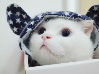 因为本仙女很懒,不想每一件商品都一样一样地去写好评,所以特意写了这样一个评论.但是这件商品无论是质量、材质还是款式,肯定都是本仙女所中意的,如果本仙女不喜欢的话,本仙女收到货肯定是会很生气的,很气很气的那种哦.不然这个评论肯定会变成那种喋喋不休,怨气横生,怨天怨地的那种.最后当然不可能忘了给这件商品一个好评,给各位爱淘宝的宝宝们一个购物参考,这个产品还是非常值得购买的! 祝看到这条评论的各位小仙女们永远年轻漂亮美丽大方