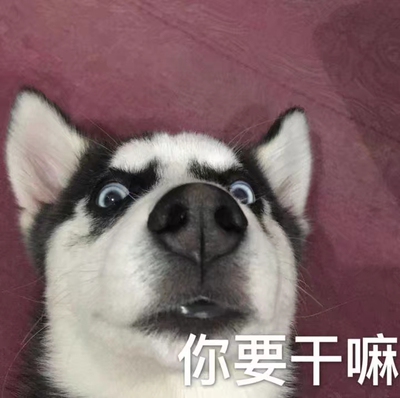 此用户没有填写评价。 此用户没有填写评价。