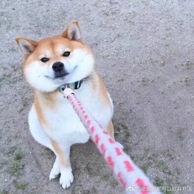 以前在天猫淘宝上买东西，都是系统自动好评，花了有好多好多钱，后来才知道淘宝评论得积分可以涨淘气值时，才知道评论的重要性，所以以后无论买什么东西，我都先把这段话复制粘贴下来，然后再写宝贝评论，没错，评论80个字以上就可以获得50个积分。