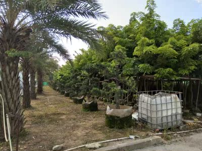 此用户没有填写评价。