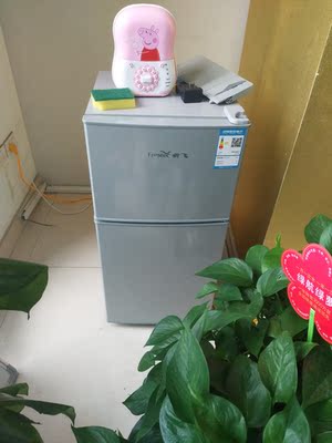 FRESTECH/新飞 BCD-108YD小冰箱L家用宿舍双开门冷藏冻小型电冰箱