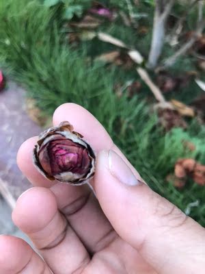 不错！一直用这款内衣